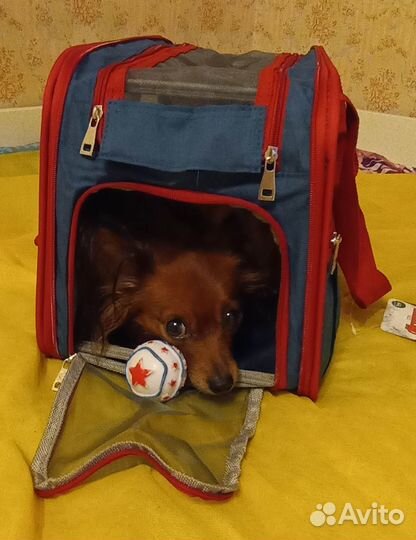 Переноска для авиа и ж/д путешествий