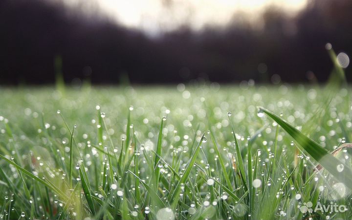 Клининговые услуги коммерческой недвижимости