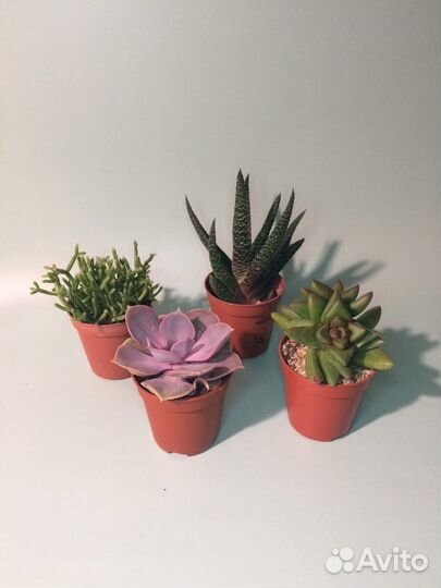 Набор «Создай свой фло»