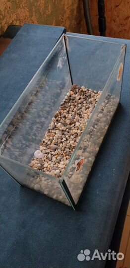 Аквариум для рыбок