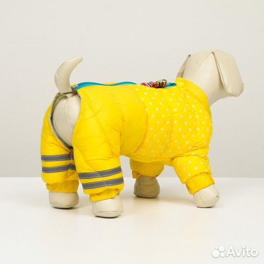 Комбинезон для собак 'Горошек', размер 22 (дс 48
