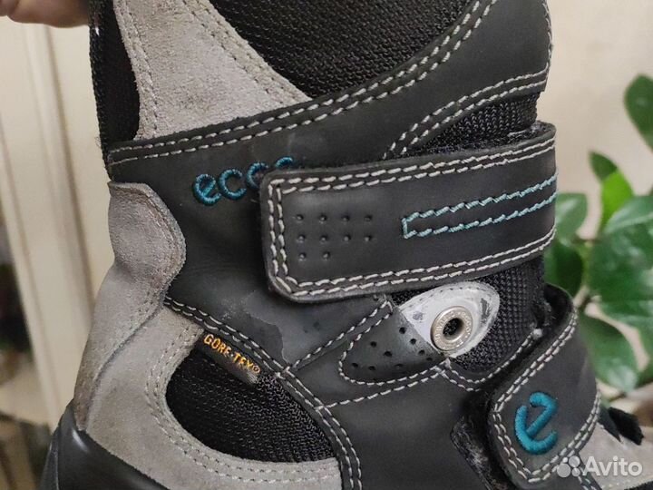 Зимние ботинки ecco 35