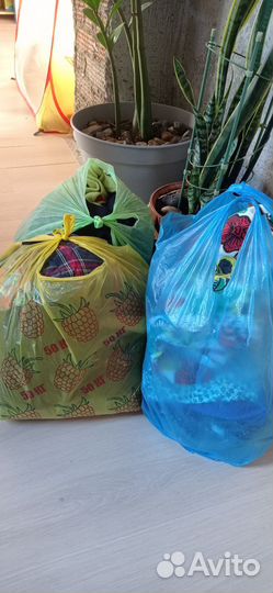 Одежда женская 48-50