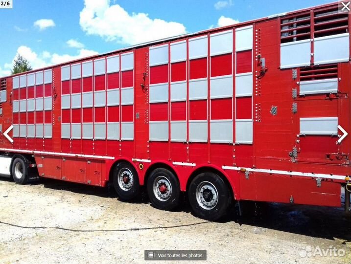 Скотовоз 1.2.3 этажа