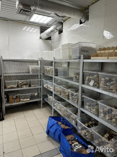 Продам готовый бизнес производство шоколада