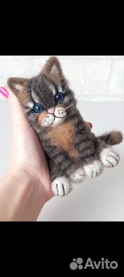 Котик из овечьей шерсти