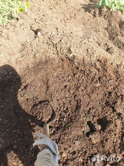 Конское удобрение золото для земли