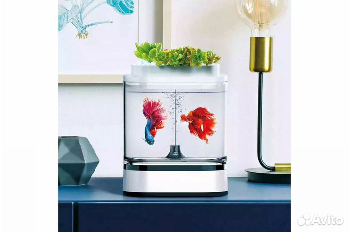 Акваферма xiaomi