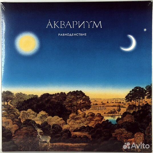 Кино, Аквариум, Машина Времени, Наутилус