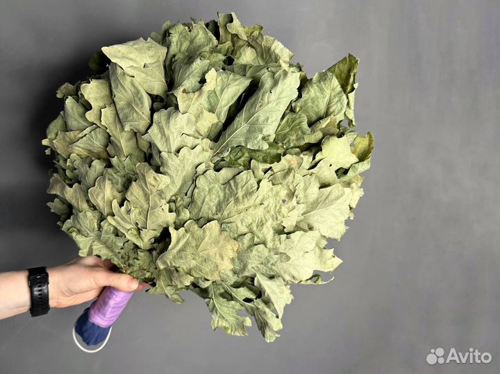 Веники для бани Дуб, пихта, береза, травы, запарки