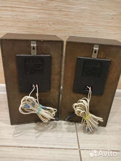 Аккустическая система Радиотехника S-30B