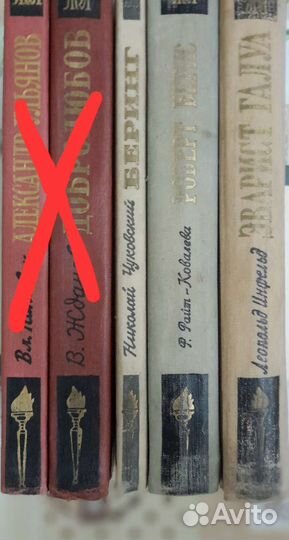 Книги из серии жзл