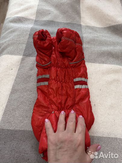 Новый комбинизон для собачки