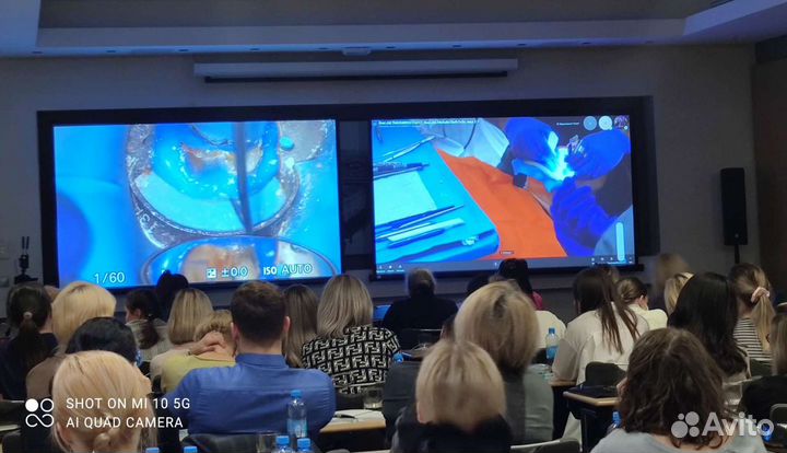 Прокат (звук, свет, экраны, проекторы)