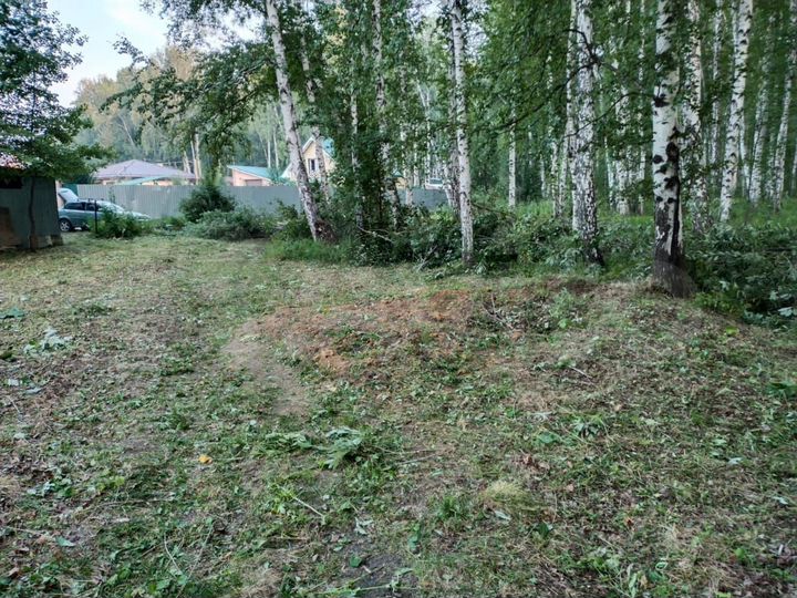 Участок 5,5 сот. (СНТ, ДНП)