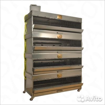 Брудеры на 200 цыплят