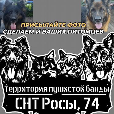 Стильная табличка на дом по фото питомца металл