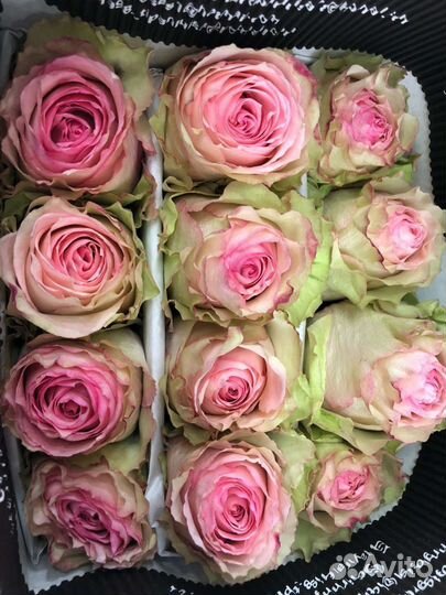 Розы доставка бесплатная