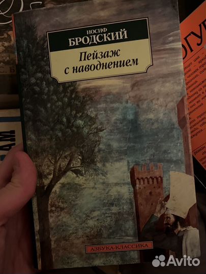 Бродский Пейзаж с наводнением