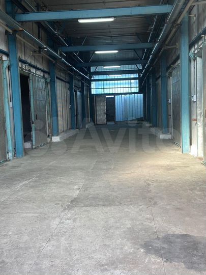 Холодильные камеры (склад), 280 м²