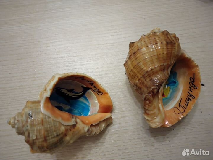 Ракушки морские 2 шт