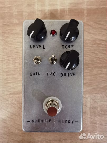 JHS Morning Glory clone