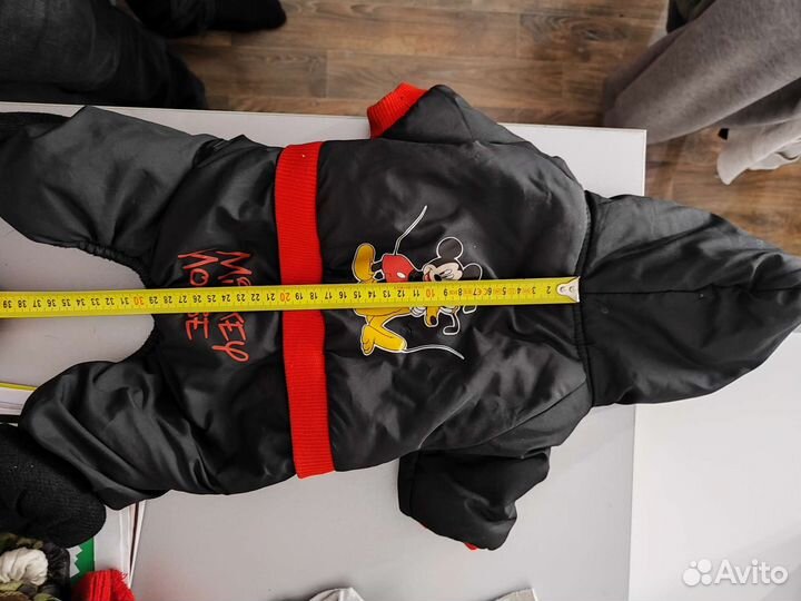 Одежда для собак