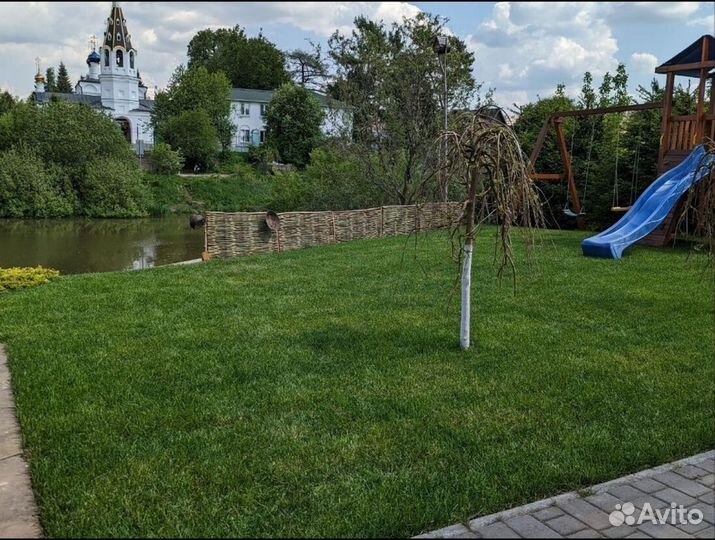 Рулонный газон Стандарт с укладкой