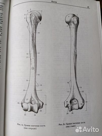 Книги по медицине