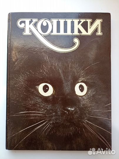 Книги о кошках