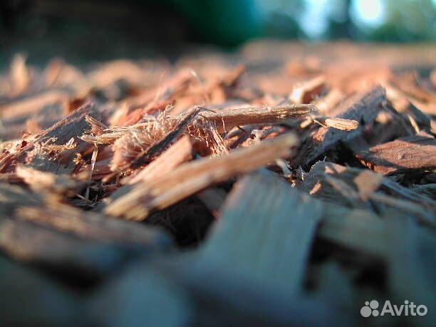 Древесная щепа