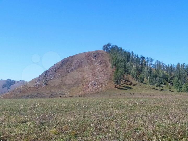 Участок 40 сот. (СНТ, ДНП)