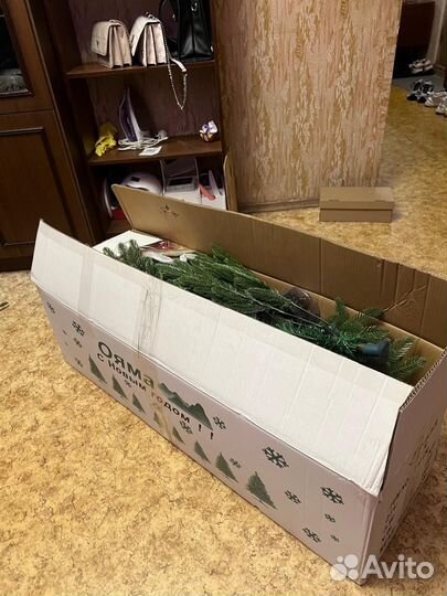 Ветки от елки