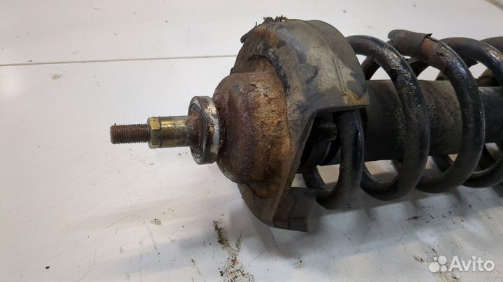 Амортизатор подвески левый передний Opel Vivaro, 2005