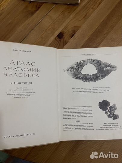 2 тома атласа анатомии Синельникова