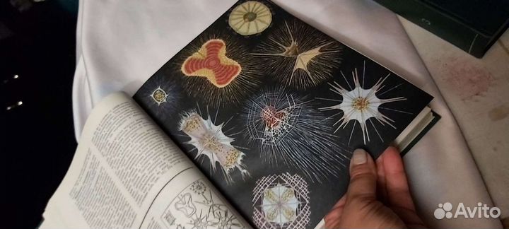 Жизнь животных 7 книг 1969-71