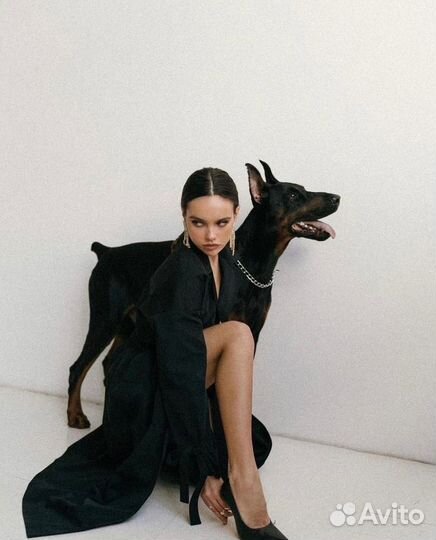 Фотосессия с доберманом