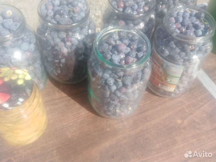 Ягода, грибы