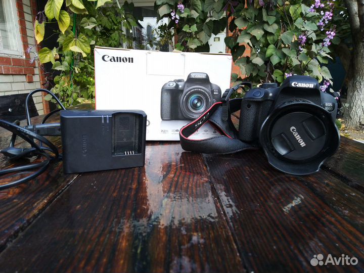 Фотоаппарат Canon eos 800d kit EF-S 18-55 IS STM