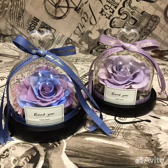 Роза в куполе /колбе подарок