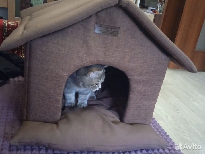 Домик для кошки