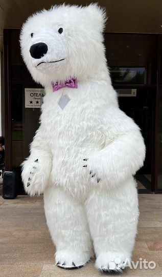 Поздравление от белого Мишки