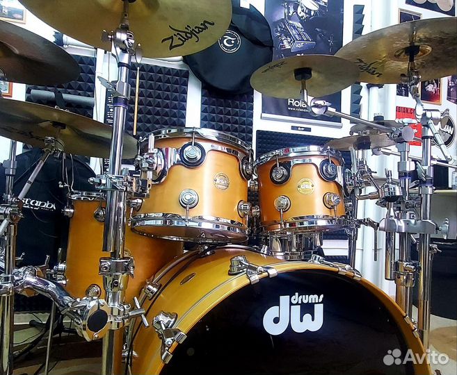DW collectors maple