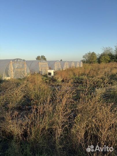 Балаганы,дуги,теплицы продам