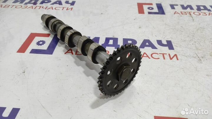 Распредвал выпускной Skoda Fabia 03E109101AA