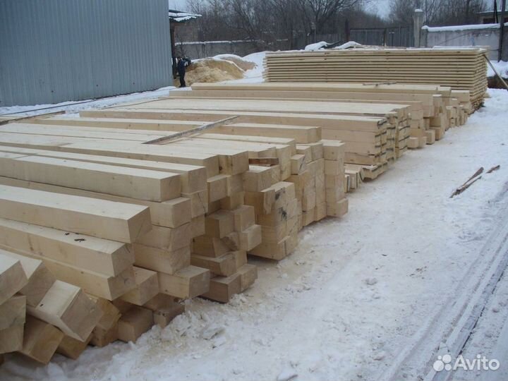 Профбрус из зимнего леса