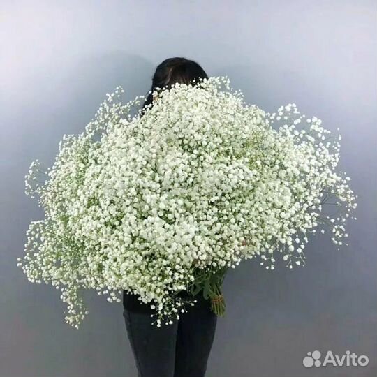 Гипсофила Букеты из гипсофилы 9 15 21 25 51