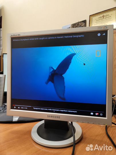 Монитор Samsung 19 