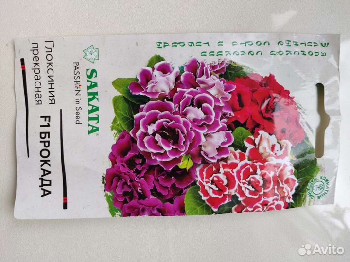 Глоксиния махровая, лист для посадки