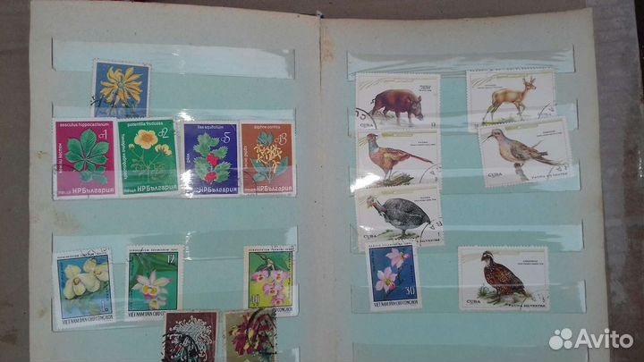 Почтовые марки СССР альбом